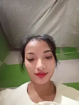 tdtd98 webcam