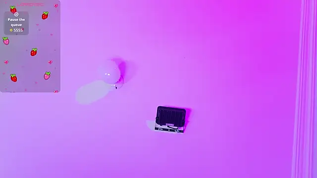 SammyJhuls webcam