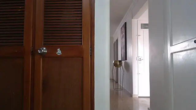 karla-bruni webcam