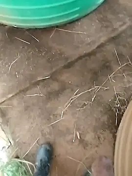 BigboyDick2