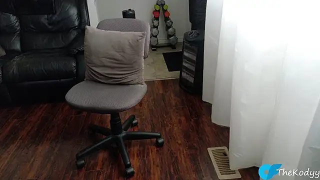 Thekodyy webcam