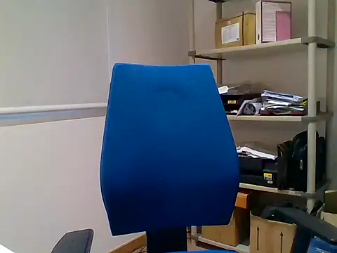 66MA69 webcam