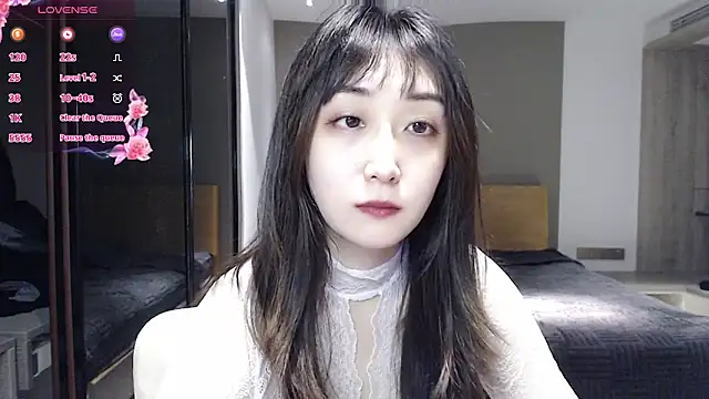 KK-328 webcam
