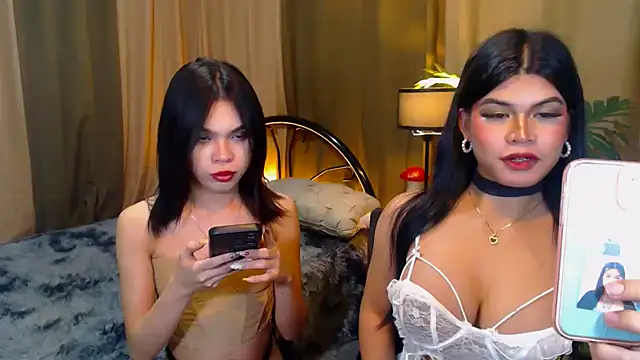 TWINKTRANSSHANEL webcam