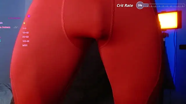 Joylopez_fit webcam