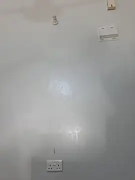 Nubian_Berry webcam
