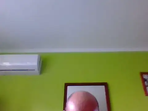 Tiger202441 webcam