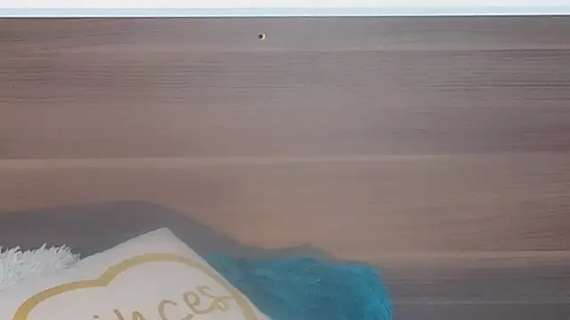 dulcetaylorss webcam