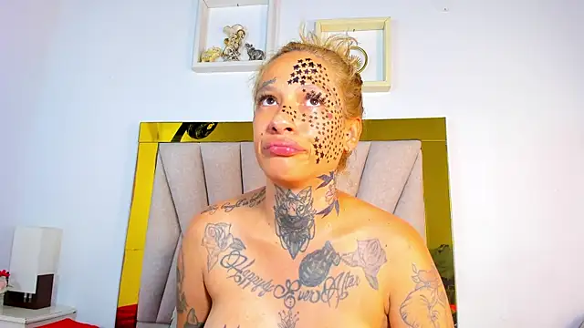 dakota_stream webcam