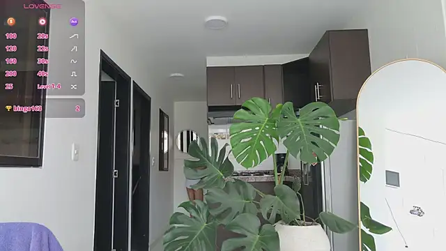 grey___27 webcam
