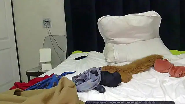 Ivysol webcam