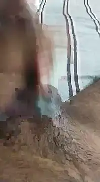 desi_pb02