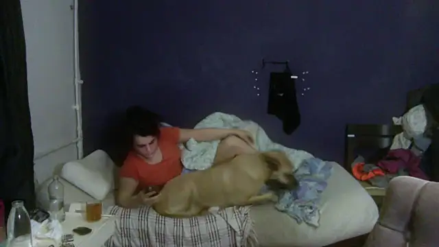 turkishTransEfsun webcam