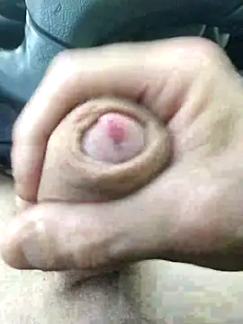 legaros webcam