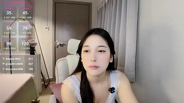 Xiao--Lin webcam