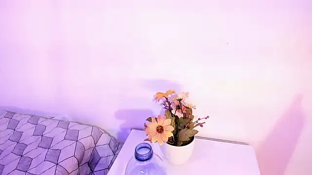 kthataleyahudson webcam
