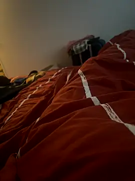 misterfield webcam
