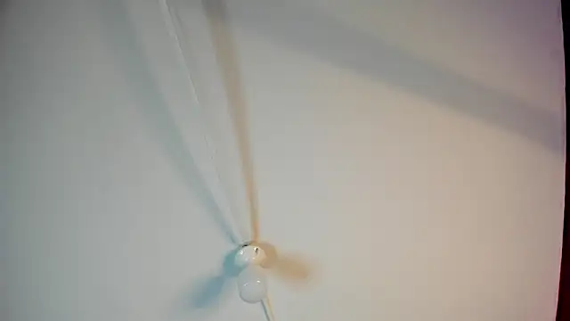 MegganSylph webcam