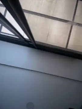 Mila_LS webcam