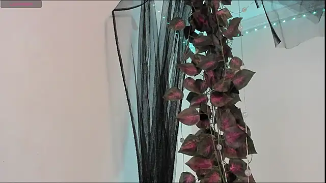 Shinny_Crystal webcam