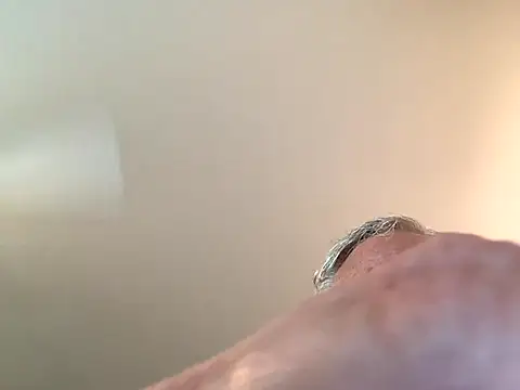 TNchubb webcam
