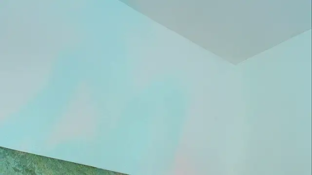 Dixie_grey1
