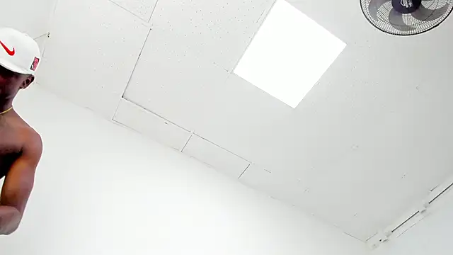 DOUGLAS_099 webcam