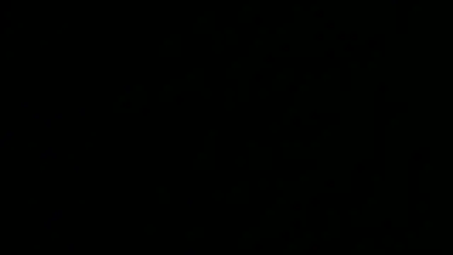 greydesire webcam