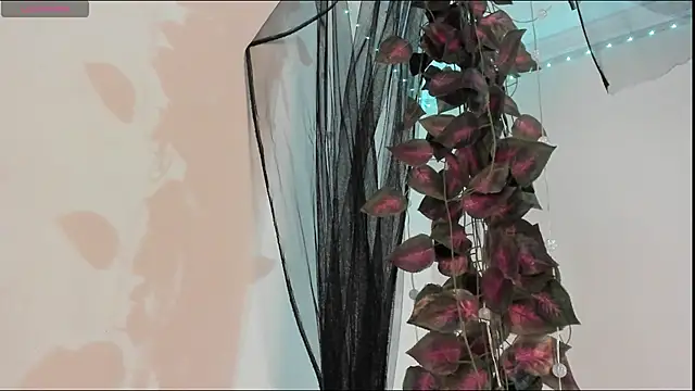 Shinny_Crystal