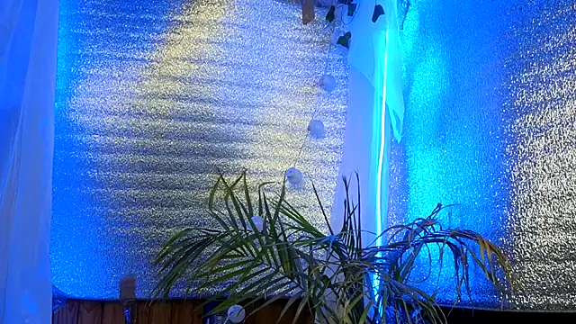 Jony_Marta webcam