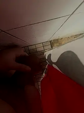 Masduroquetu webcam