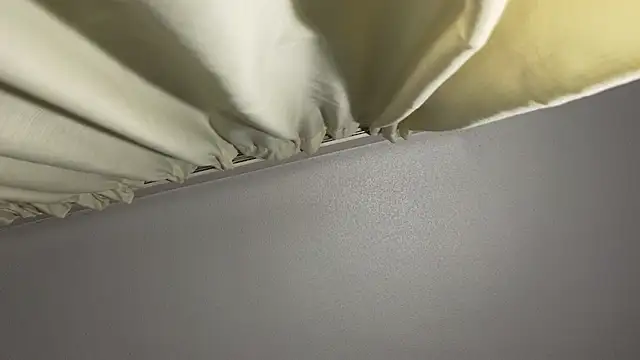 curiosillo83