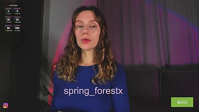 spring_forest webcam