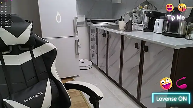 RyanStorm_ webcam