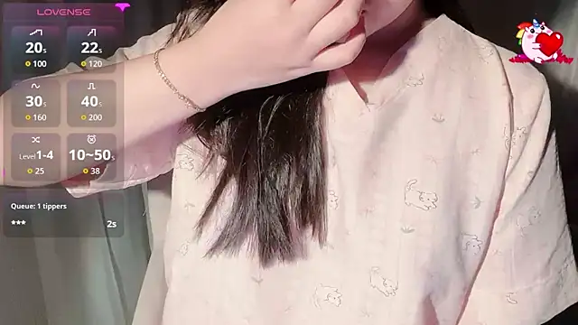 BeChinh_Lee webcam