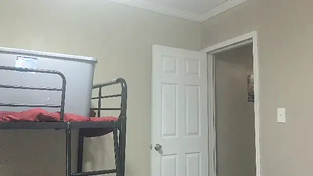 ReallyReallyReal webcam