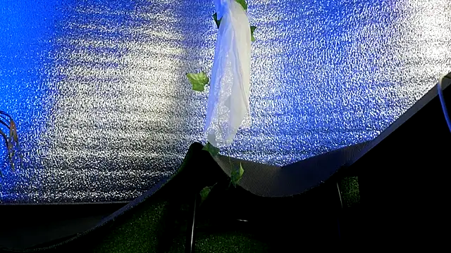 Jony_Marta webcam