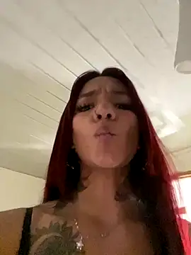 dolcebella webcam
