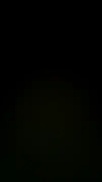 trans511 webcam