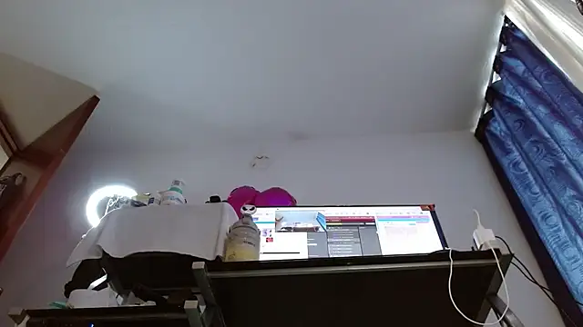 miss_evoleth2 webcam