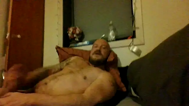 Real_viking webcam