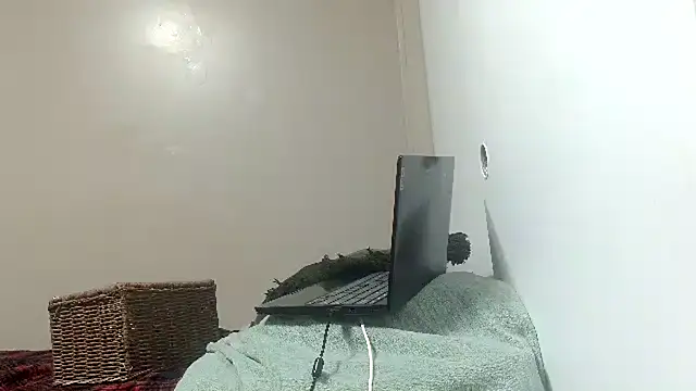 ReallyReallyReal webcam