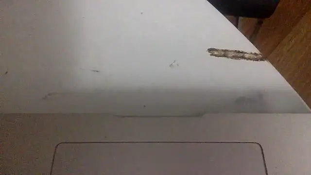 edger4lif3