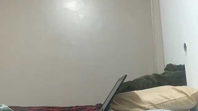 ReallyReallyReal webcam