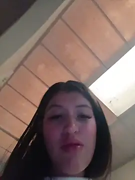 SALOME-28_ webcam