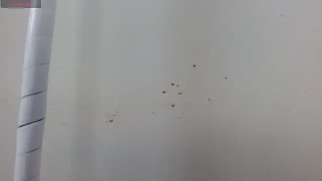 caty_angel webcam