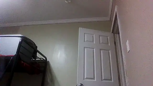 ReallyReallyReal webcam