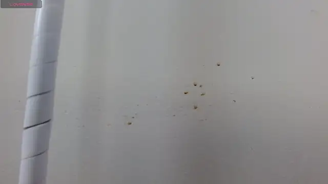 caty_angel webcam