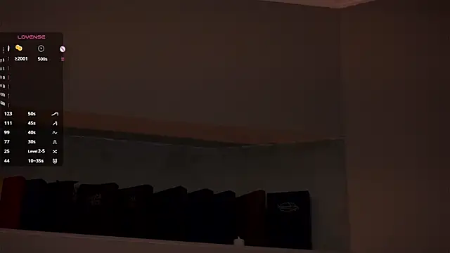 MercBoone webcam