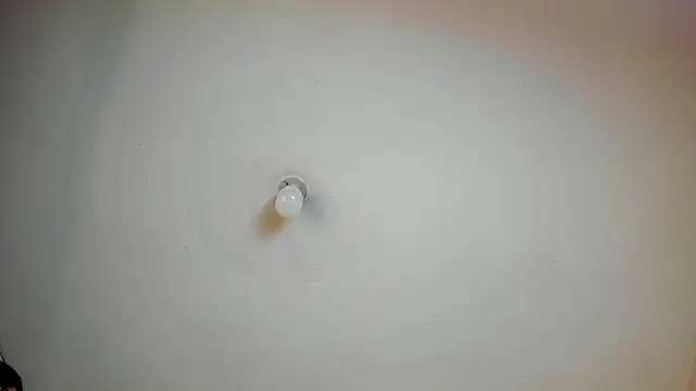 wandaliones webcam
